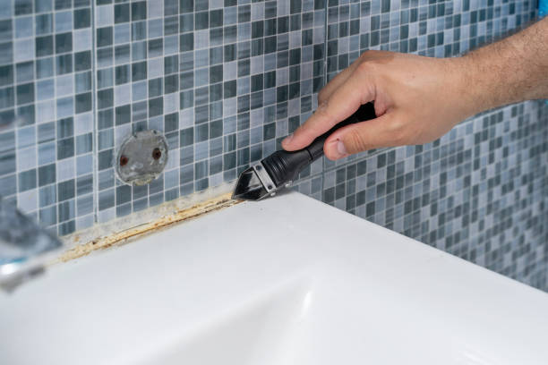 Best Residential Mold Removal  in Highland, UT